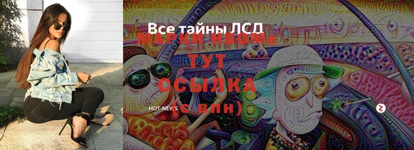 стаф Беломорск