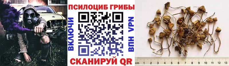 Псилоцибиновые грибы Magic Shrooms  Севск 